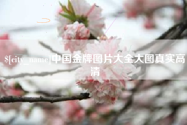 丹东中国金牌图片大全大图真实高清