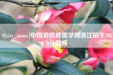 丹东中国消防救援学院浙江招生2020分数线