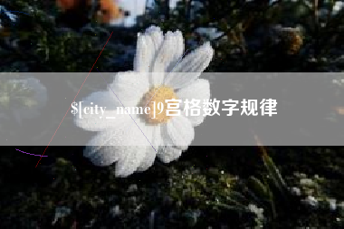 丹东9宫格数字规律
