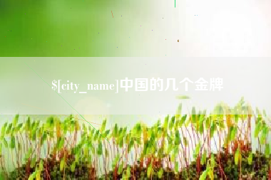 丹东中国的几个金牌