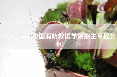 丹东中国消防救援学院招生章程公布!
