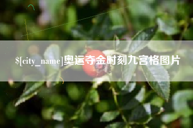 丹东奥运夺金时刻九宫格图片