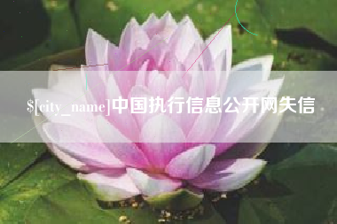 丹东中国执行信息公开网失信