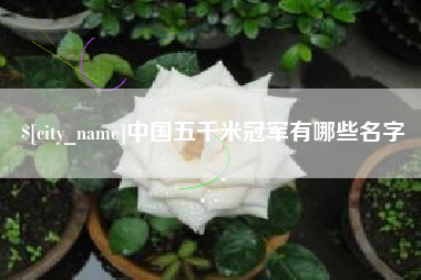 丹东中国五千米冠军有哪些名字