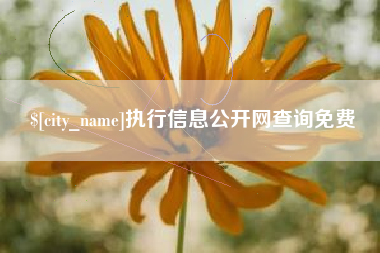 丹东执行信息公开网查询免费