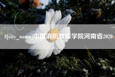 丹东中国消防救援学院河南省2020